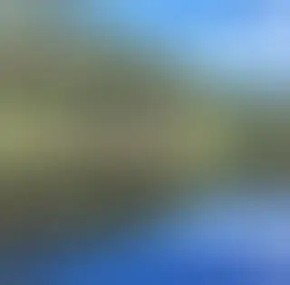 Bociany z okolic Daleszyc szykują się do odlotu do Afryki