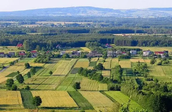 Justyna i Robert Gamońscy starostami dożynek w Piekoszowie