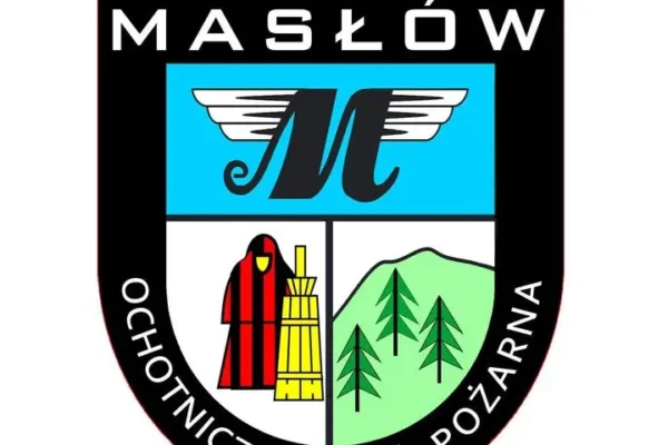 Strażacy z OSP Masłów usunęli gniazdo szerszeni w Dąbrowie