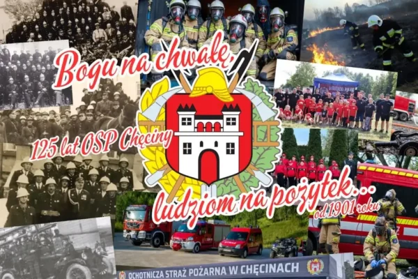 Wypadek na S7 w Szewcach: auto uderzyło w bariery po zderzeniu z lisem