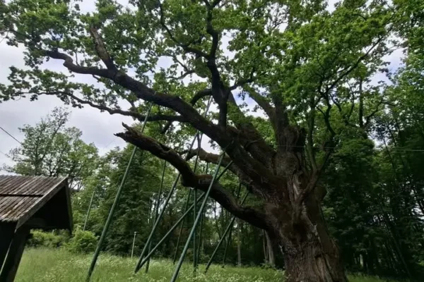 Rocznica sformowania 4 Pułku Piechoty AK we wsi Siodła – pamięć o bohaterach