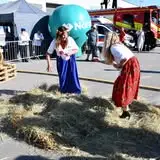 Koncert „Harmonia światła i cienia” w Piekoszowie już w niedzielę
