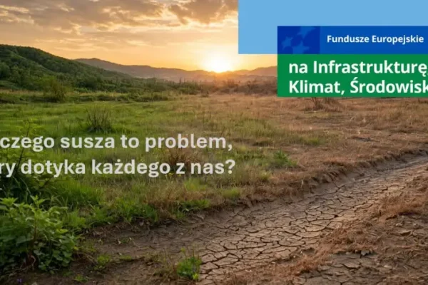 Susza w Polsce: Jak zatrzymać wodę w krajobrazie? Program Mikroretencja