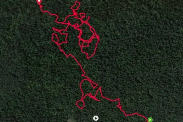 Zapisy na Daleszycki Cross i Nordic Walking otwarte