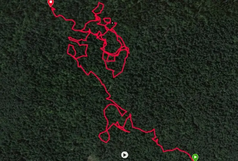 Zapisy na Daleszycki Cross i Nordic Walking otwarte