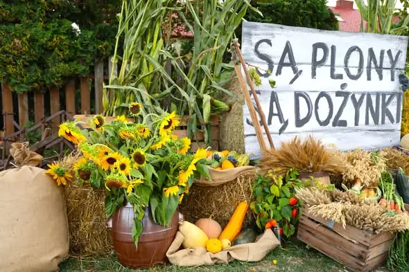 Sołectwo Brzeziny walczy o tytuł najładniejszej dekoracji dożynkowej