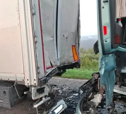 Wypadek na DK74 w Mniowie: zderzenie trzech ciężarówek i osobówki