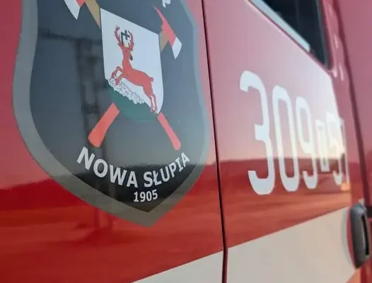 Usuwanie gniazda owadów w Nowej Słupi – interwencja OSP