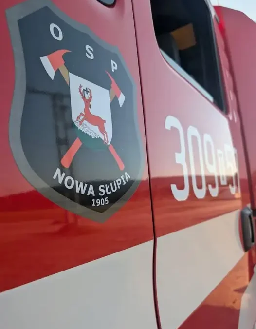 Usuwanie gniazda owadów w Nowej Słupi – interwencja OSP