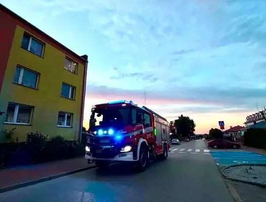 Usuwanie gniazda owadów w Mniowie – interwencja strażaków