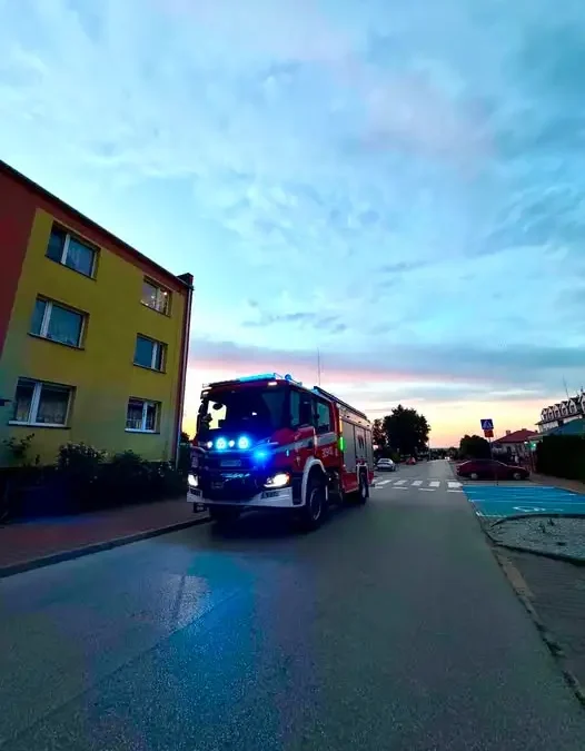 Usuwanie gniazda owadów w Mniowie – interwencja strażaków