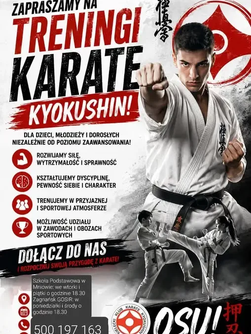 Rusza nabór do sekcji karate w Zagnańsku i Mniowie – pierwszy trening bezpłatny