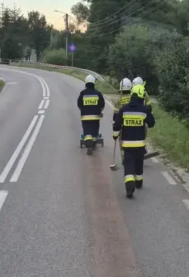 Strażacy z Zagnańska usunęli plamę oleju na ulicy Turystycznej