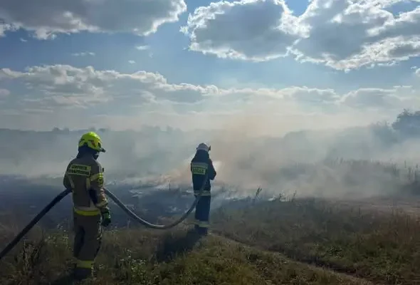 Pożar nieużytków rolnych w Piekoszowie i Wincentowie – interwencja OSP