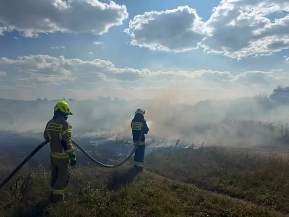 Pożar nieużytków rolnych w Piekoszowie i Wincentowie – interwencja OSP