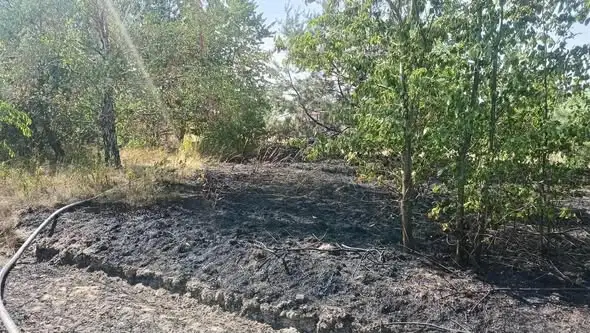 Pożar nieużytków rolnych w Brynicy – interwencja strażaków