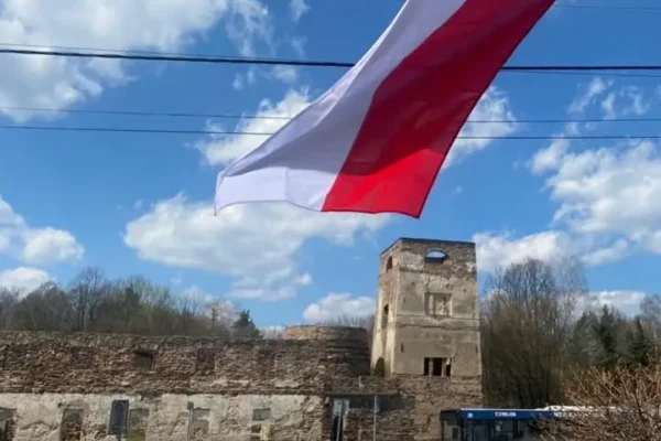 Dąb Bartek w Zagnańsku – 700-letni pomnik przyrody wciąż zachwyca turystów