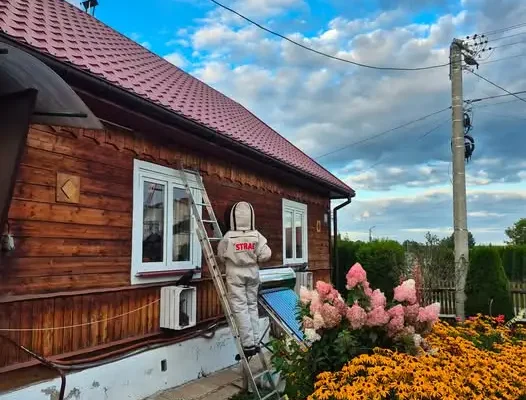 Usunięcie gniazda szerszeni w Masłowie Drugim – interwencja OSP Masłów
