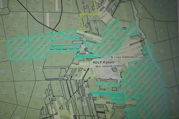 Częściowe zniesienie zakazu wstępu do lasów po czerwcowej nawałnicy