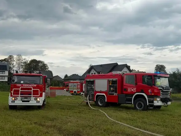 Pożar nieużytków rolnych w Brynicy – strażacy z OSP Piekoszów w akcji