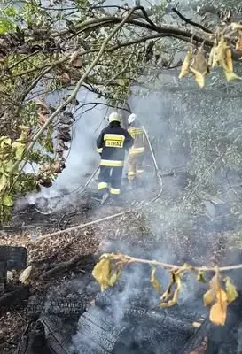 Pożar składowanego drewna w Zaleziance. Strażacy dotarli pieszo przez trudny teren