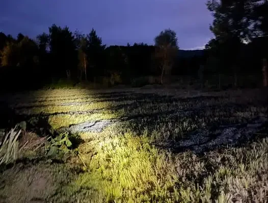 Pożar trawy w Wilkowie – akcja strażaków OSP