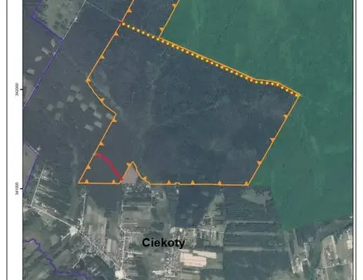 Nowy rezerwat „Bór Ciekoty” ogranicza ruch. Spacer z posłem w tle
