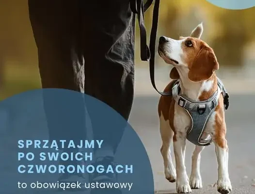 Gmina Morawica przypomina: sprzątanie po psie to nie kwestia kultury, a obowiązek