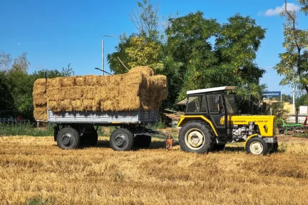 IX Bieg Rolnika i Gospodyń oraz dożynkowe konkursy w gminie Łopuszno