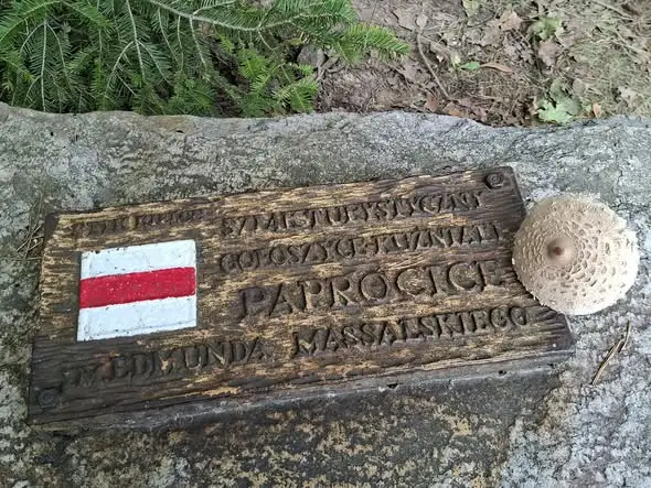 XXVII Świętokrzyski Rajd Pielgrzymkowy na Święty Krzyż – relacja ze Strawczyna
