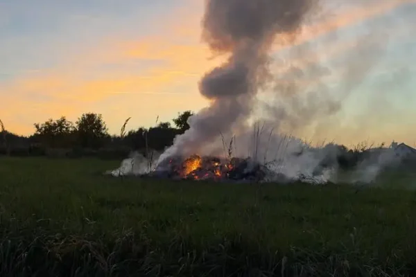 Pożar trawy przy ul. Miejskiej w Bodzentynie – interweniowała OSP Bodzentyn