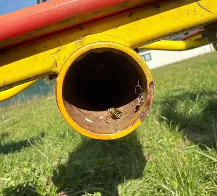 Usuwanie gniazda owadów błonkoskrzydłych w Dąbrowie Górnej — interwencja OSP Bodzentyn