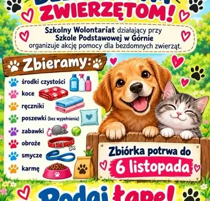 Szkolne Koło Wolontariatu w Górnie organizuje zbiórkę dla bezdomnych zwierząt