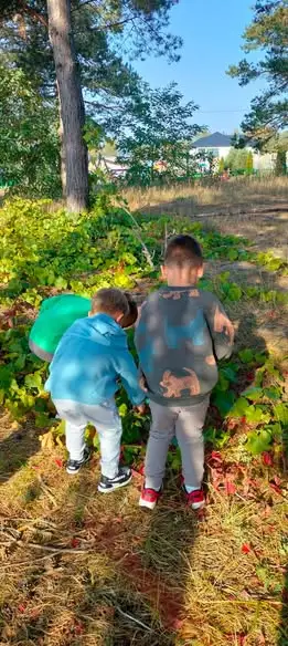 Jesienne inspiracje: Krasnoludki z liści na placu zabaw