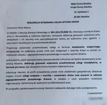 Mieszkaniec chciał bezpłatnie wyciąć drzewa w Dąbrowie. Urząd Gminy Masłów mówi: nie da się