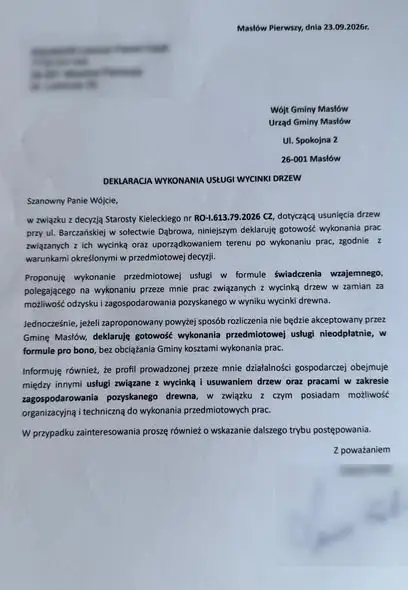 Mieszkaniec chciał bezpłatnie wyciąć drzewa w Dąbrowie. Urząd Gminy Masłów mówi: nie da się