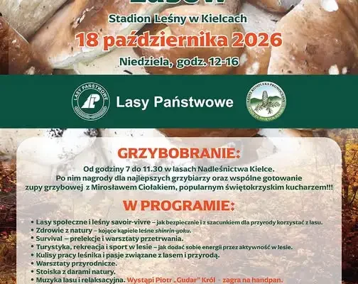 Piknik „Dary Świętokrzyskich Lasów” w Kielcach – grzybobranie, zupa z borowików i lasy społeczne