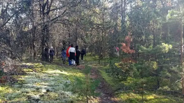 Uczniowie z klasy II i III odkrywali jesienny las – niezapomniana lekcja przyrody