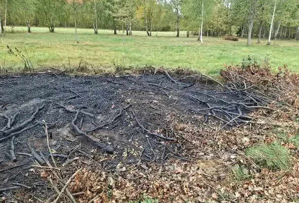 Pożar gałęzi zamiast budynku mieszkalnego – interwencja straży w Węgrzynowie