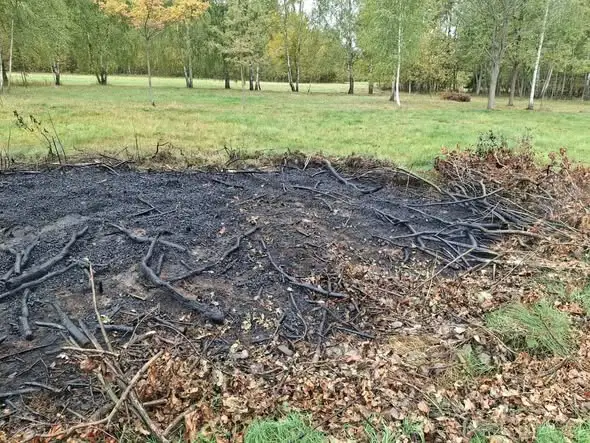 Pożar gałęzi zamiast budynku mieszkalnego – interwencja straży w Węgrzynowie