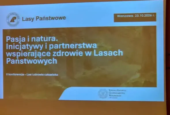 Las jako lekarstwo – konferencja „Las i zdrowie człowieka” w Warszawie