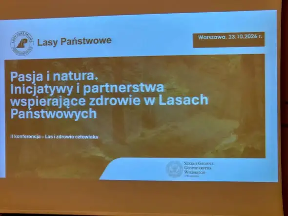 Las jako lekarstwo – konferencja „Las i zdrowie człowieka” w Warszawie
