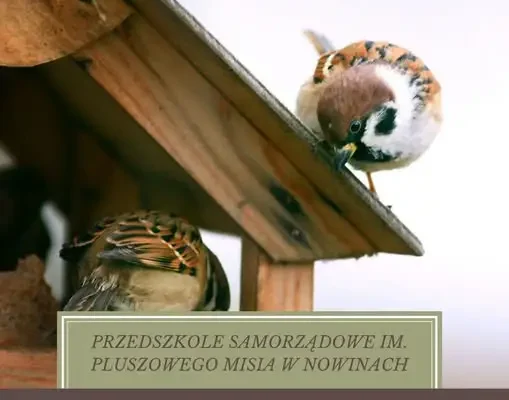 Wolontariusze z Nowin zamienią przedszkole w fabrykę ptasich stołówek